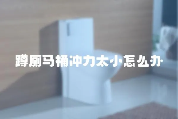 蹲廁馬桶沖力太小怎么辦