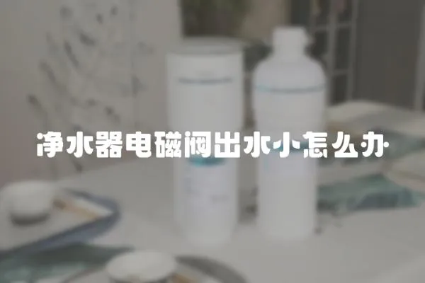 凈水器電磁閥出水小怎么辦