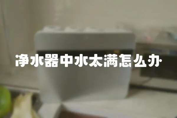 凈水器中水太滿怎么辦