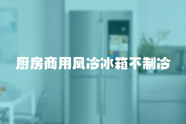 廚房商用風冷冰箱不制冷