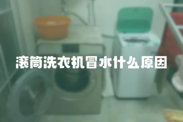 滾筒洗衣機冒水什么原因