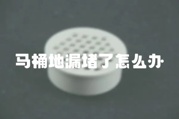 馬桶地漏堵了怎么辦
