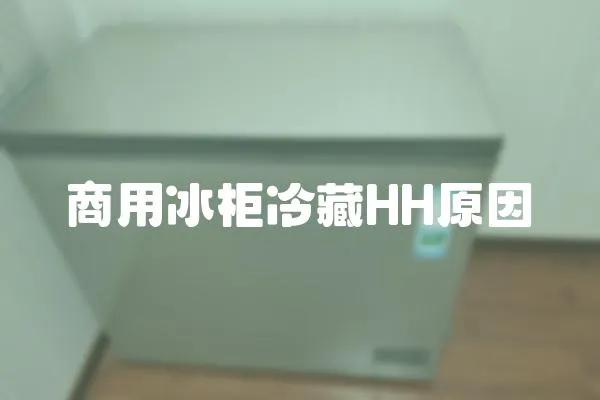 商用冰柜冷藏HH原因