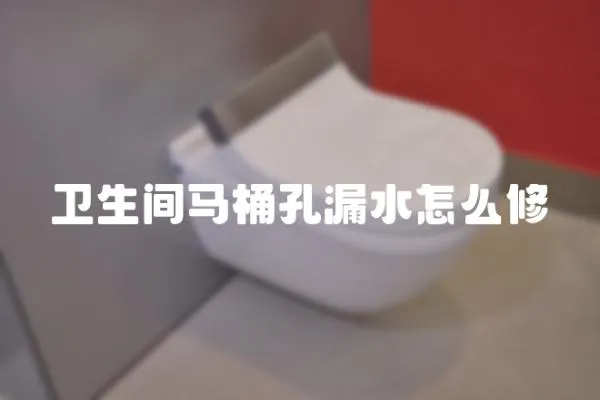 衛生間馬桶孔漏水怎么修