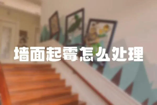 墻面起霉怎么處理