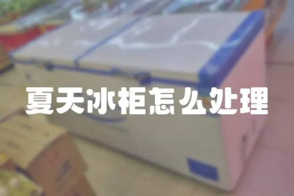 夏天冰柜怎么處理