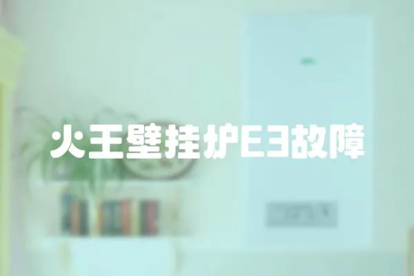 火王壁掛爐E3故障