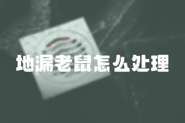 地漏老鼠怎么處理