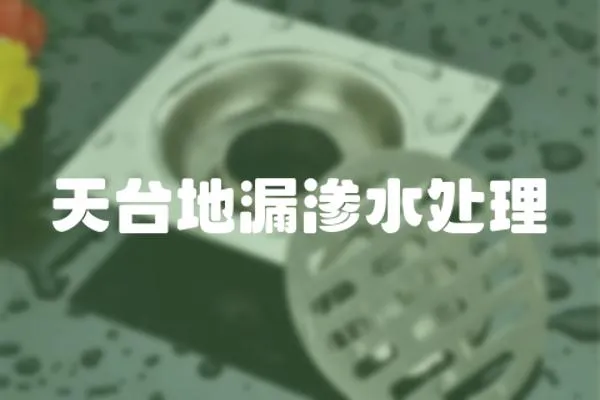天臺地漏滲水處理
