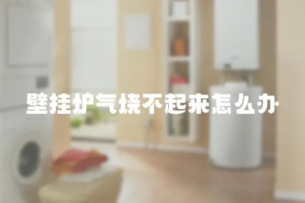 壁掛爐氣燒不起來怎么辦