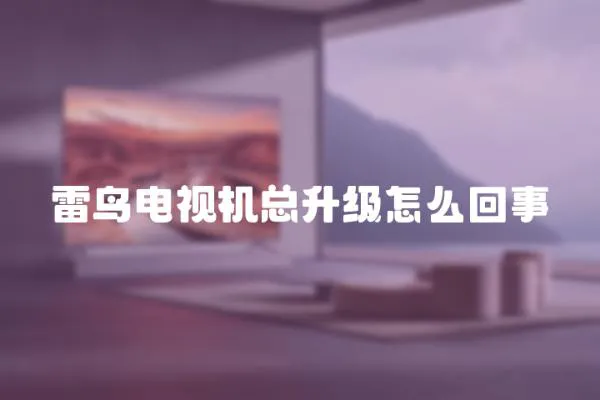 雷鳥電視機(jī)總升級怎么回事