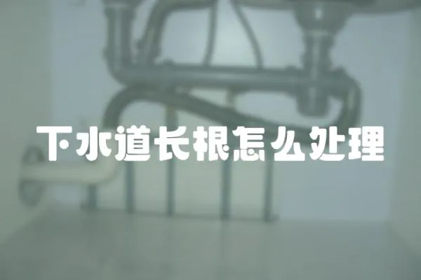 下水道長根怎么處理