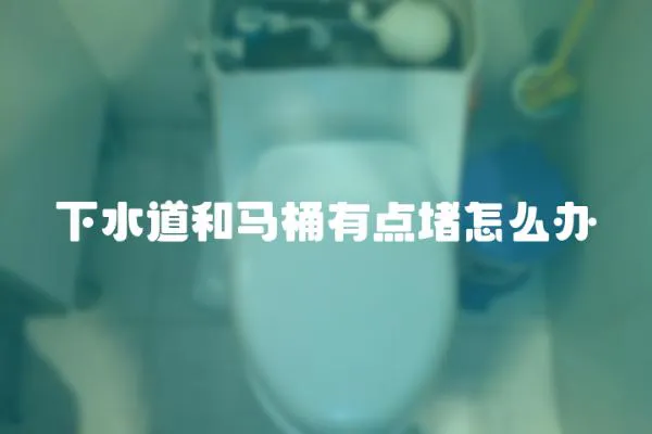 下水道和馬桶有點堵怎么辦