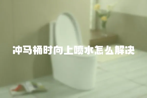 沖馬桶時向上噴水怎么解決