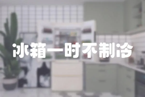 冰箱一時不制冷