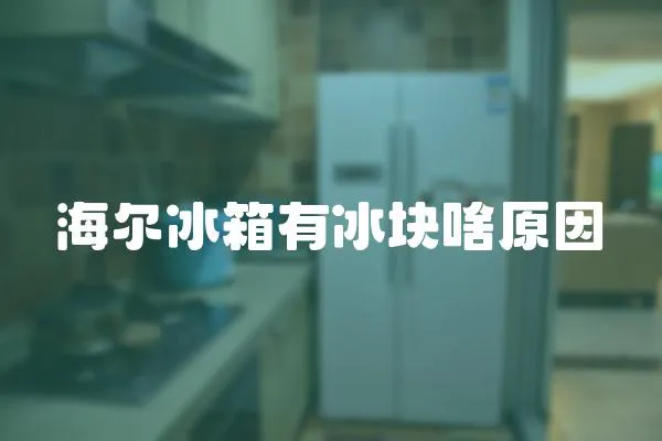 海爾冰箱有冰塊啥原因