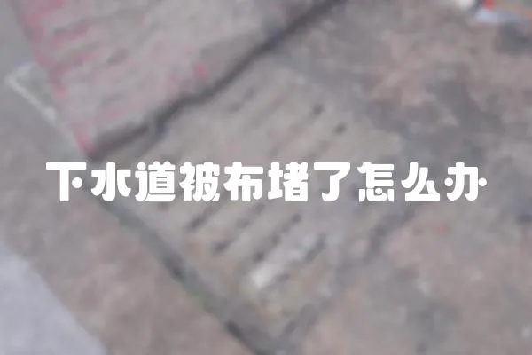 下水道被布堵了怎么辦
