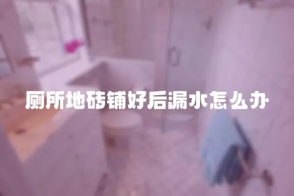 廁所地磚鋪好后漏水怎么辦