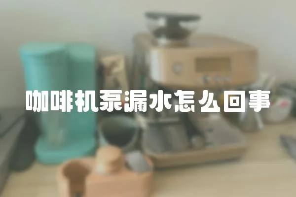 咖啡機泵漏水怎么回事