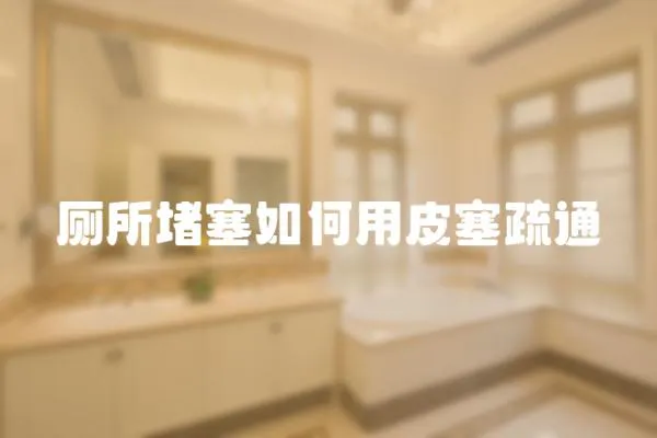 廁所堵塞如何用皮塞疏通