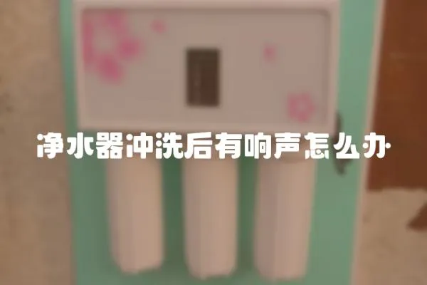 凈水器沖洗后有響聲怎么辦