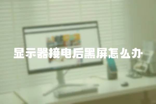 顯示器接電后黑屏怎么辦