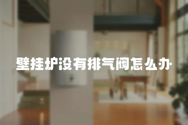 壁掛爐沒有排氣閥怎么辦