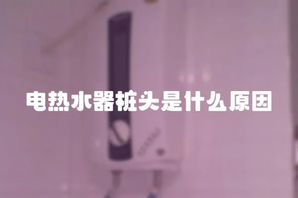 電熱水器樁頭是什么原因