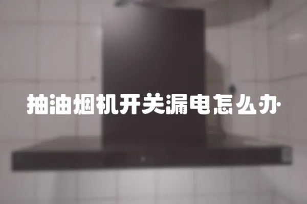 抽油烟机开关漏电怎么办