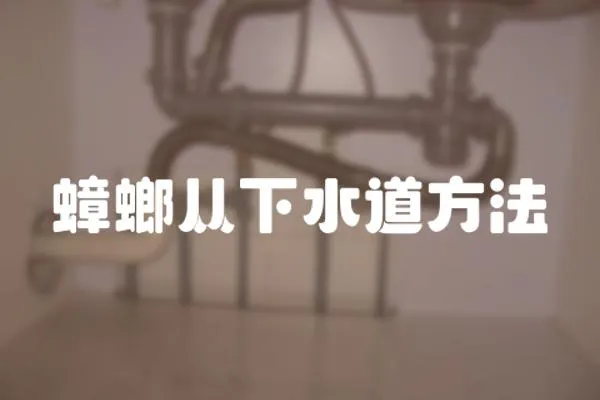 蟑螂從下水道方法