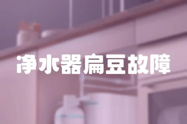 凈水器扁豆故障