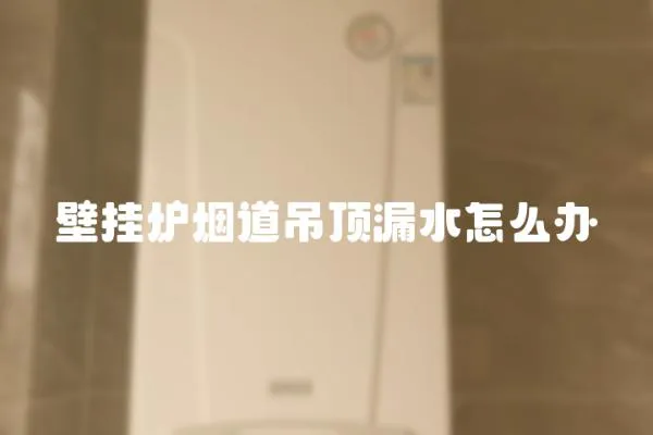 壁掛爐煙道吊頂漏水怎么辦