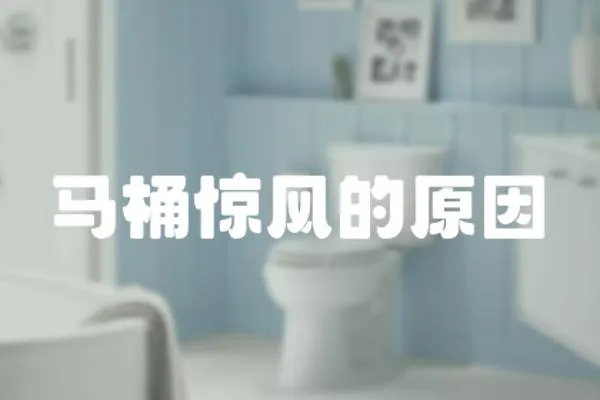 馬桶驚風(fēng)的原因