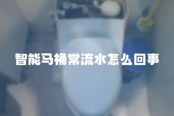 智能馬桶常流水怎么回事