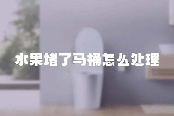 水果堵了馬桶怎么處理