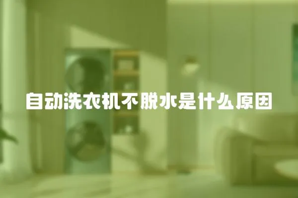 自動(dòng)洗衣機(jī)不脫水是什么原因