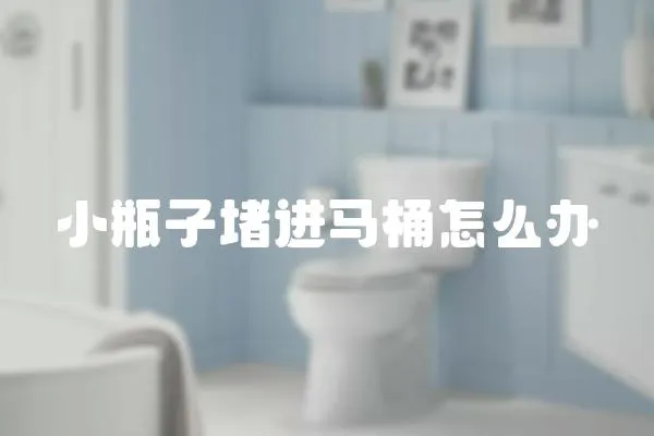 小瓶子堵進馬桶怎么辦