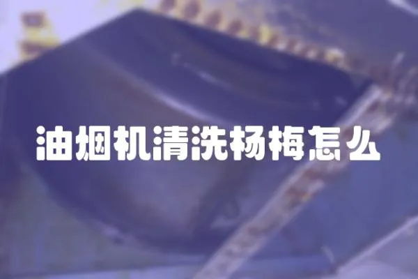 油煙機清洗楊梅怎么