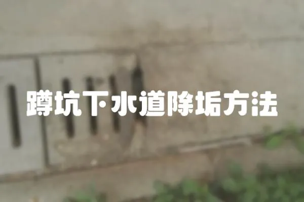 蹲坑下水道除垢方法