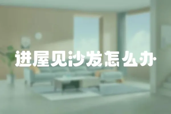 進屋見沙發怎么辦