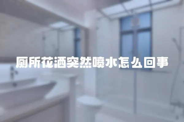 廁所花灑突然噴水怎么回事