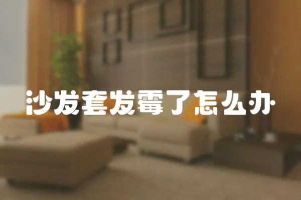 沙發(fā)套發(fā)霉了怎么辦