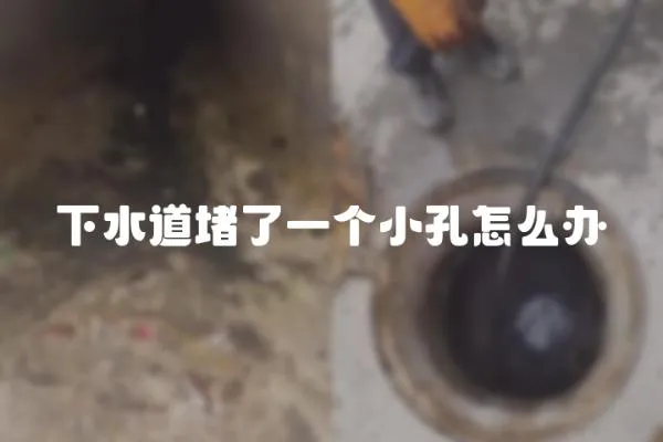 下水道堵了一個小孔怎么辦