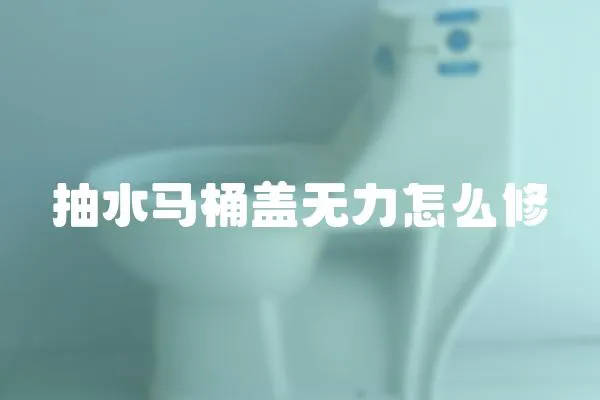 抽水馬桶蓋無力怎么修