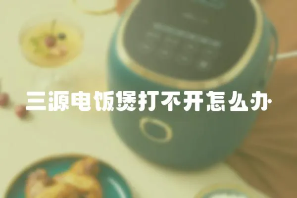 三源電飯煲打不開怎么辦