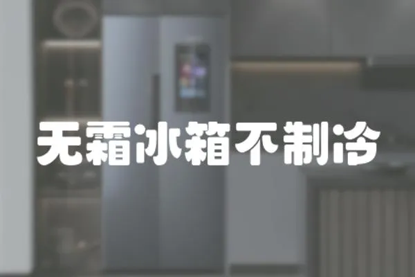 無霜冰箱不制冷