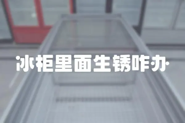 冰柜里面生銹咋辦