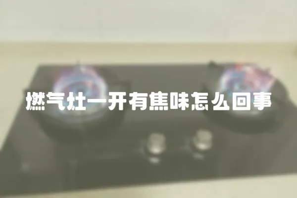 燃?xì)庠钜婚_有焦味怎么回事