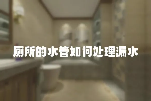 廁所的水管如何處理漏水