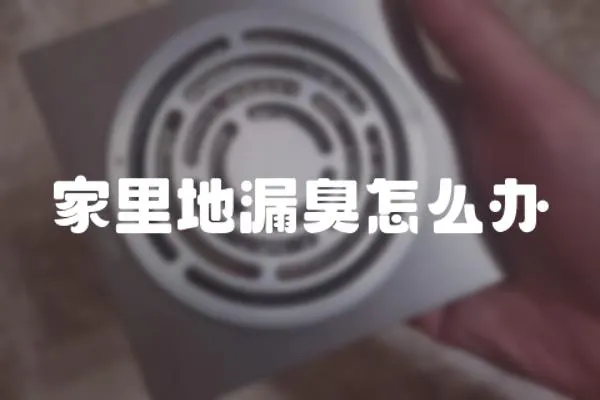 家里地漏臭怎么辦